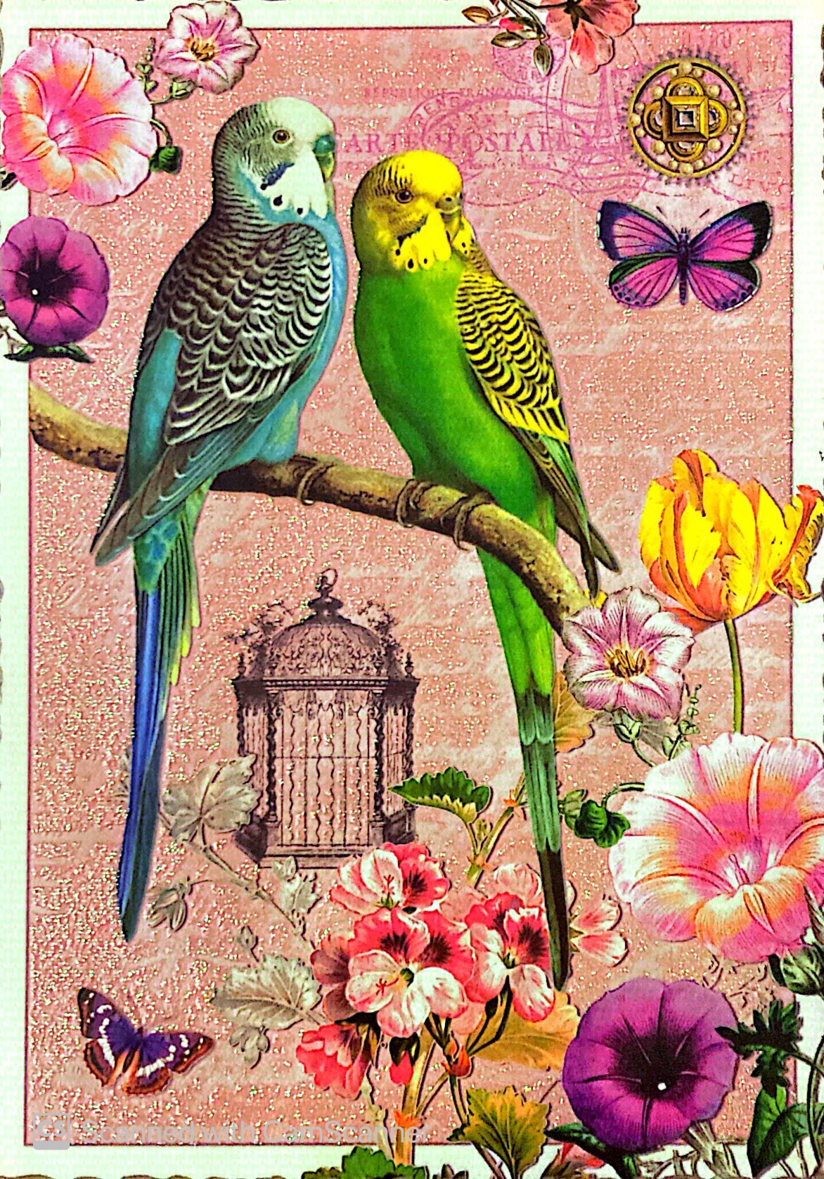 two parakeets on flowers