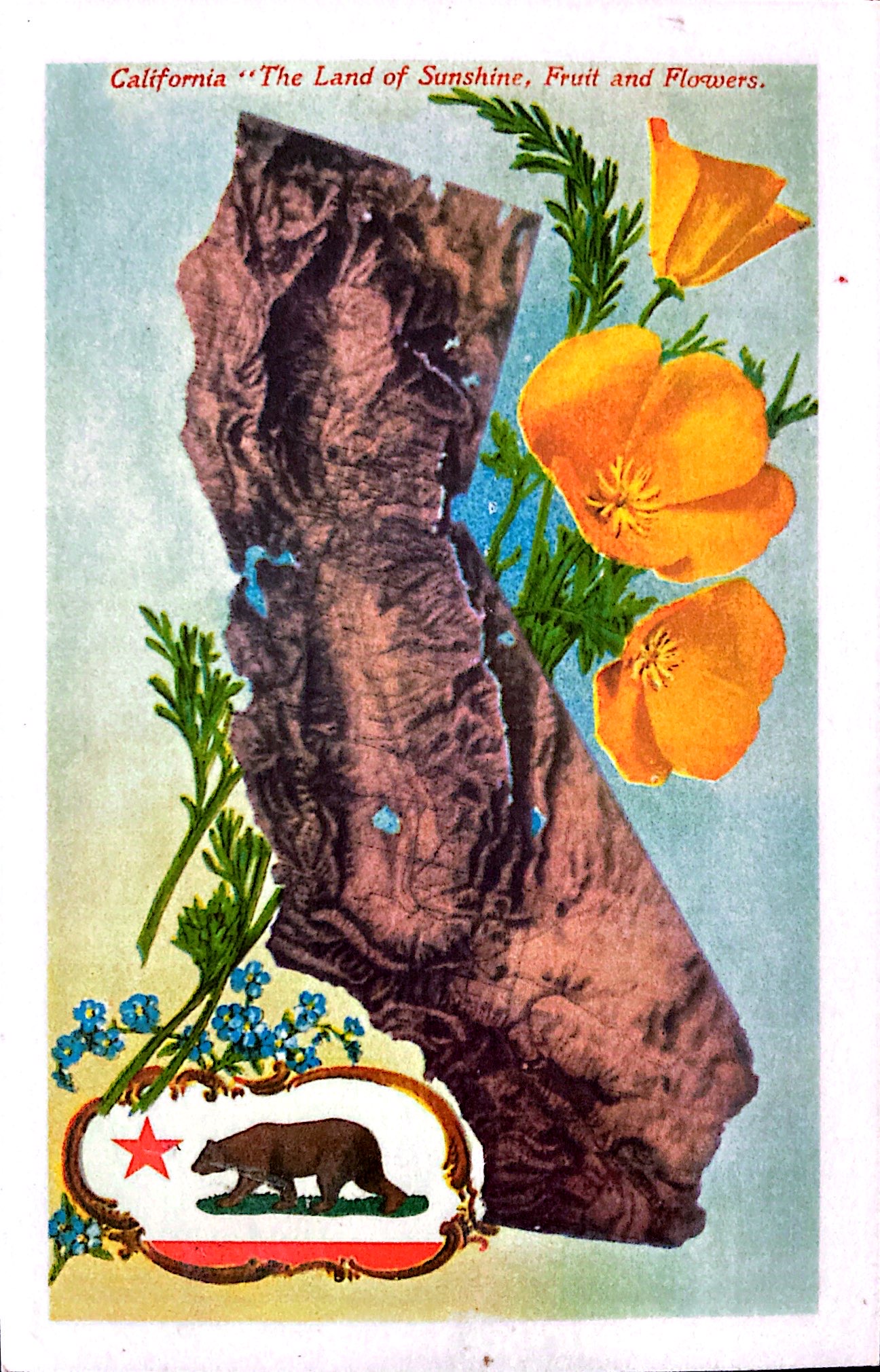 an illustration of california  "The land of Sunshine, fruits, and flowers"